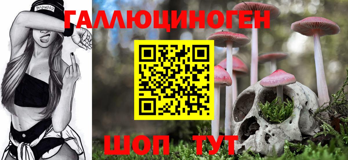 Галлюциногенные грибы прущие грибы  купить закладку  Магадан  Вход с VPN 