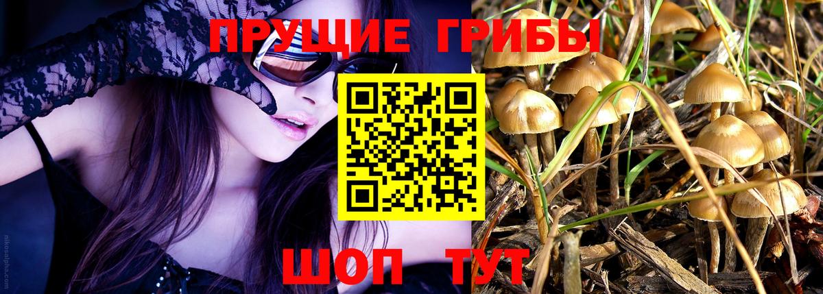 Галлюциногенные грибы Cubensis Магадан